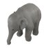 Elefant