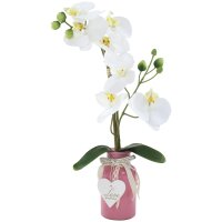 Orchideenzweig mit Bl&auml;ttern M