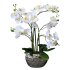 Standard Orchidee gro&szlig; WEI&szlig;E Bl&uuml;te + SILBER Topf