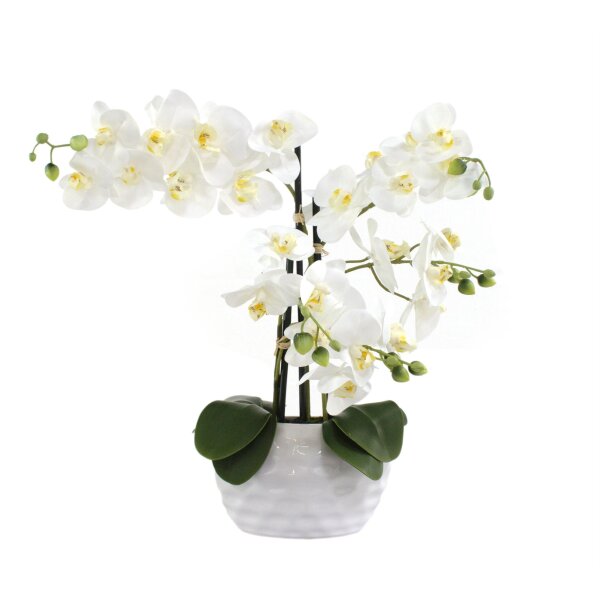 Standard Orchidee gro&szlig; WEI&szlig;E Bl&uuml;te + WEI&szlig;ER Topf