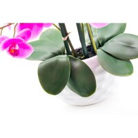 Standard Orchidee gro&szlig; lila Bl&uuml;te + WEI&szlig;ER Topf