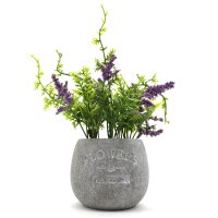 Lavendel mit grauem Topf