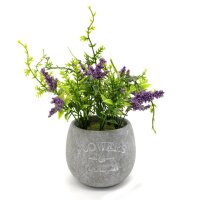 Lavendel mit grauem Topf