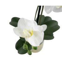 Orchidee wei&szlig;e Bl&uuml;te -Topf konisch gold/grau -...