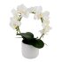 Orchideen Bogen