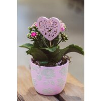 Pflanzschale Valentinstag