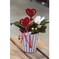 Pflanzschale Valentinstag