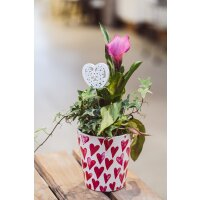 Pflanzschale Valentinstag